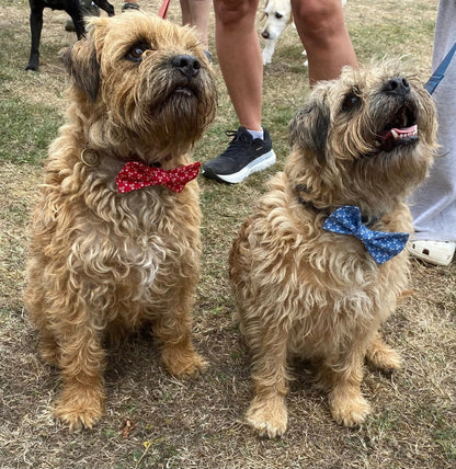 Island-Made Doggie Bow Ties