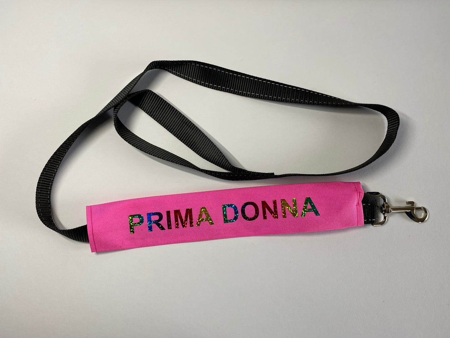 Customisable Lead Slips - Your Dog, Your Message