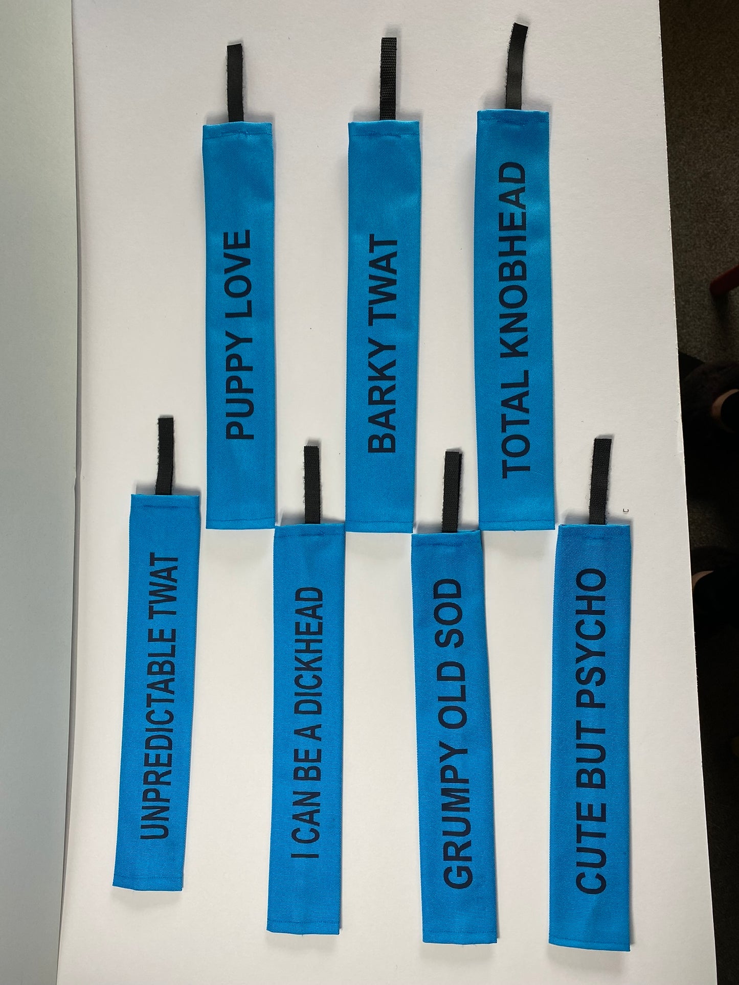 Customisable Lead Slips - Your Dog, Your Message