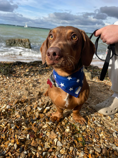 Doggie Bandana